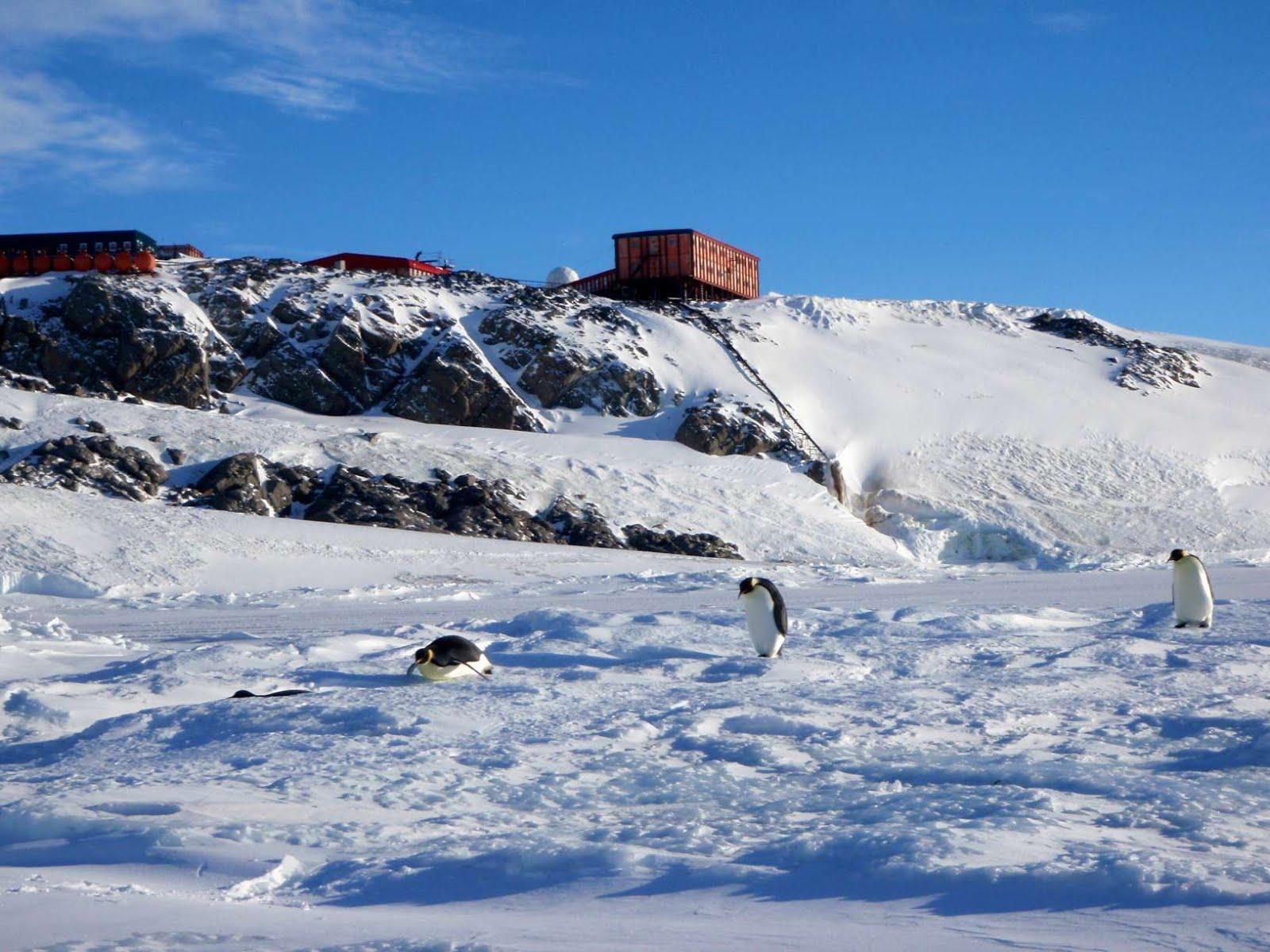 Science-fiction | CHARABANC - Digressions sur la vie touristique